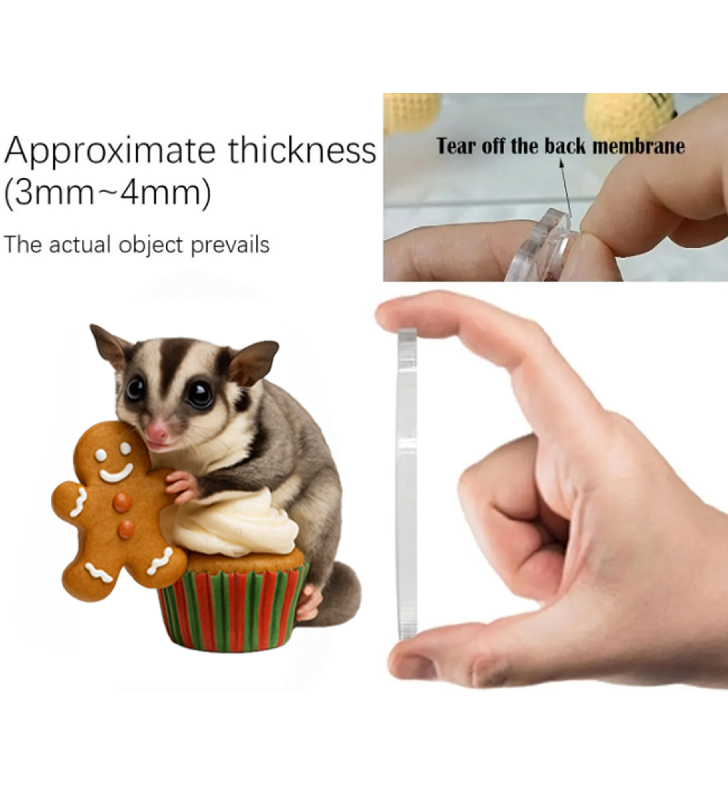 Sugar Glider Christmas Wonderland Advent Calendar