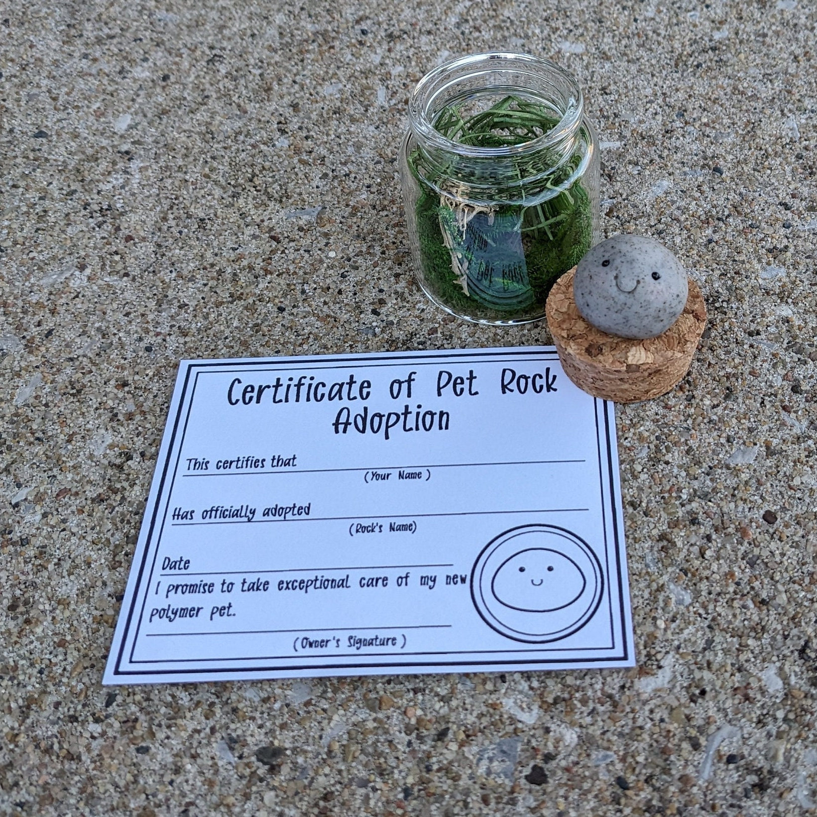 On Sale🔥Adopt A Rock Pet