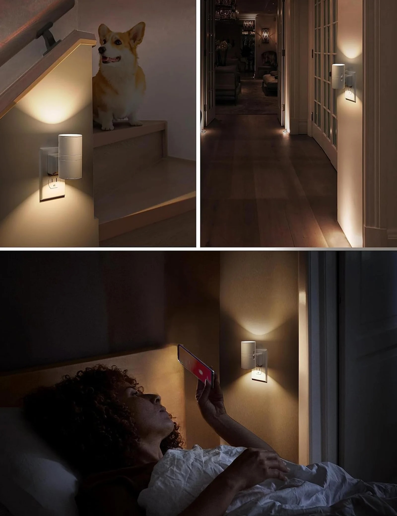 💥ON SALE💥🔥Dimmable Night Light
