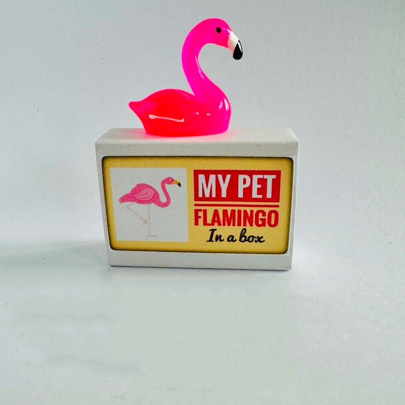 🦩Pet Flamingo In A Box