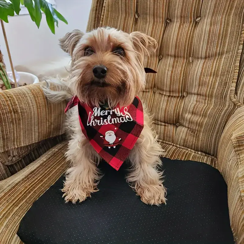 ON SALE🔥Pet Scarf Triangle Bibs for Small Medium Large and Extra Large Dogs Cats-Buy 5pcs Free Shipping