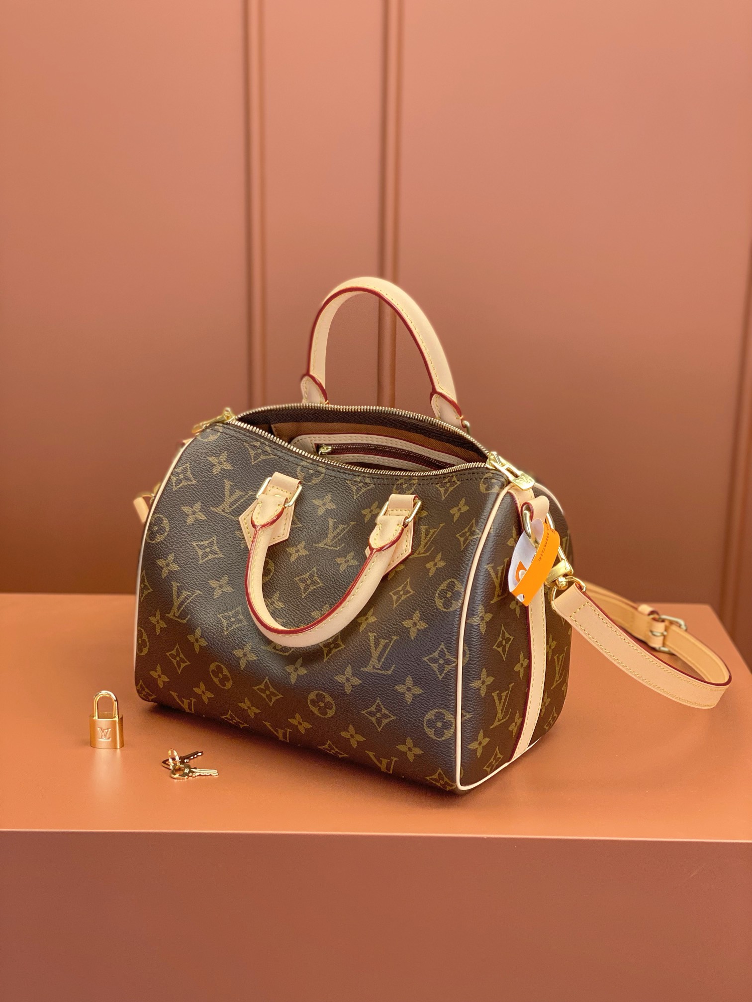Louis Vuitton SPEEDY 25 Handbag M41113