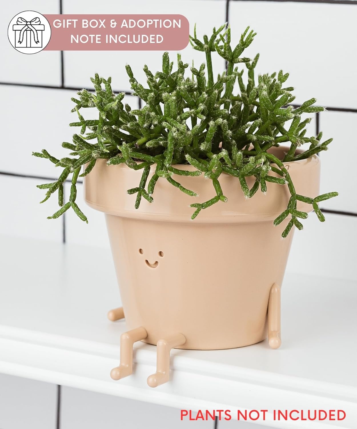 🔥HOT SALE🔥Happiest Little Indoor Planters On Earth