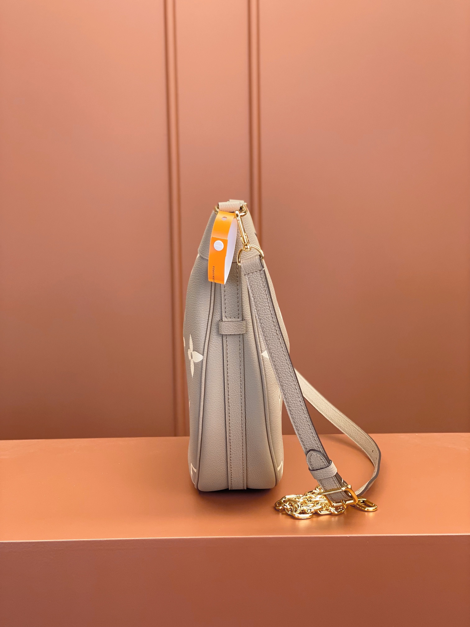 Louis Vuitton LOOP HOBO Handbag M46738