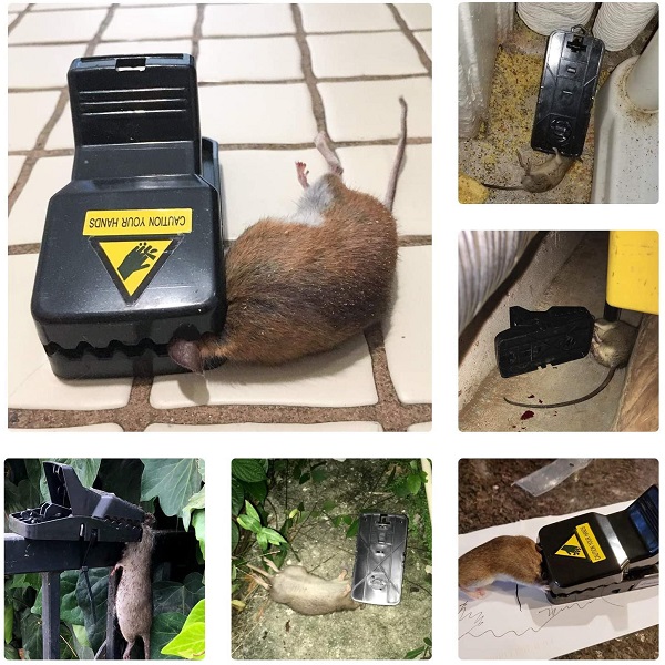 (🔥Last Day Promotion - 50% OFF)Highly Sensitive Reusable Mouse Trap-Buy More Get More($5.57 / Pcs)