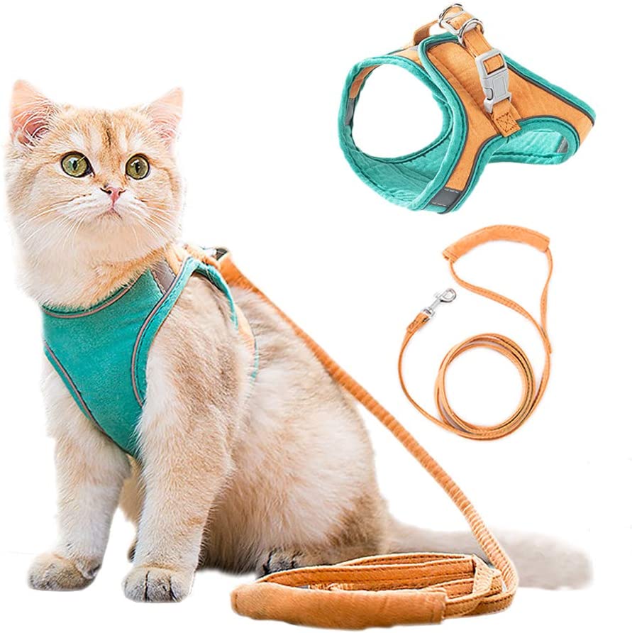 🔥Last Day Promotion-[SAVE 50% OFF]--Luminous Cat Vest Harness and Leash Set--BUY 2 GET 10% OFF & FREE SHIPPING