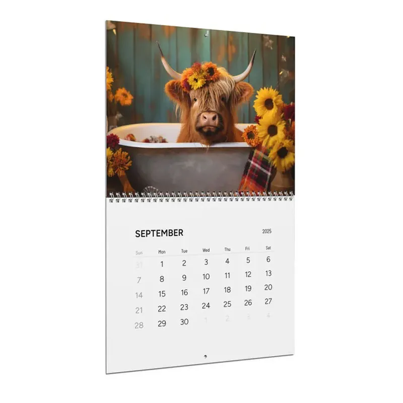 Highland Cow 2025 Wall Calendar