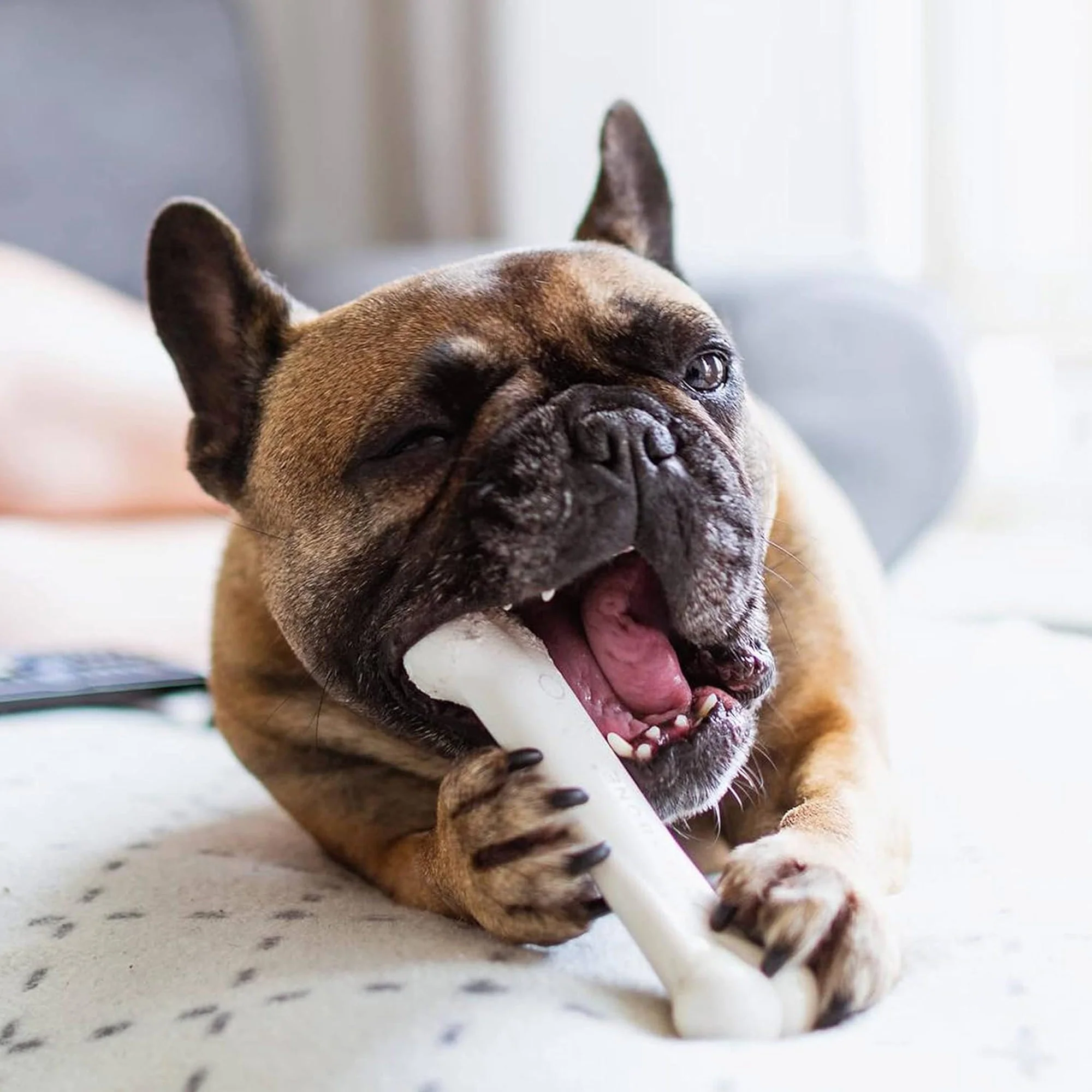 Nylabone Power Chew Flavored Durable Chew Toy for Dogs, for Medium Dogs, Chicken Flavor
