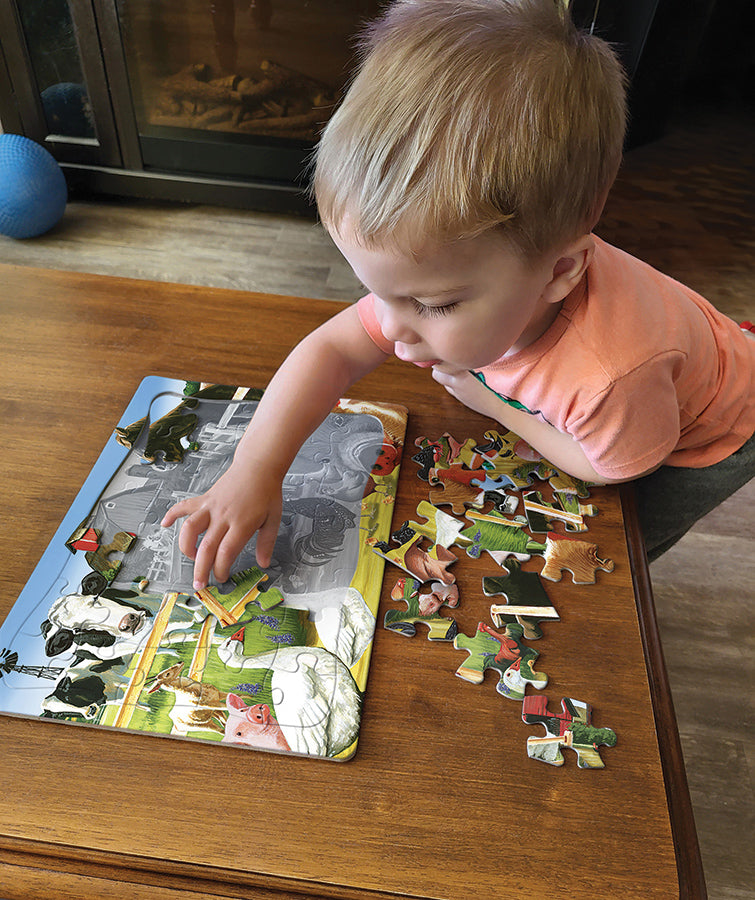 Farmyard Welcome (tray) | 35 Piece Tray
