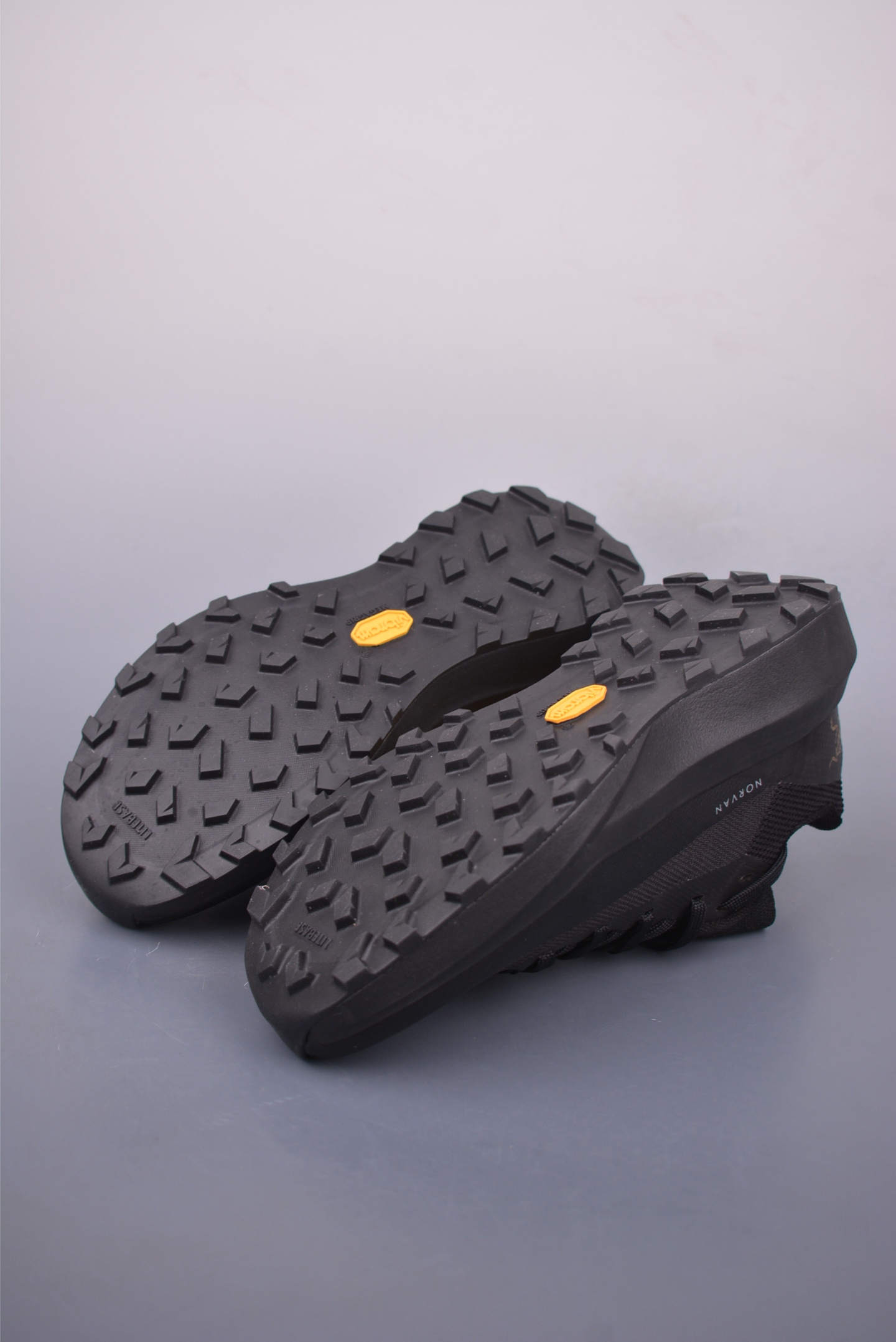Arc'teryx Norvan LD 4 