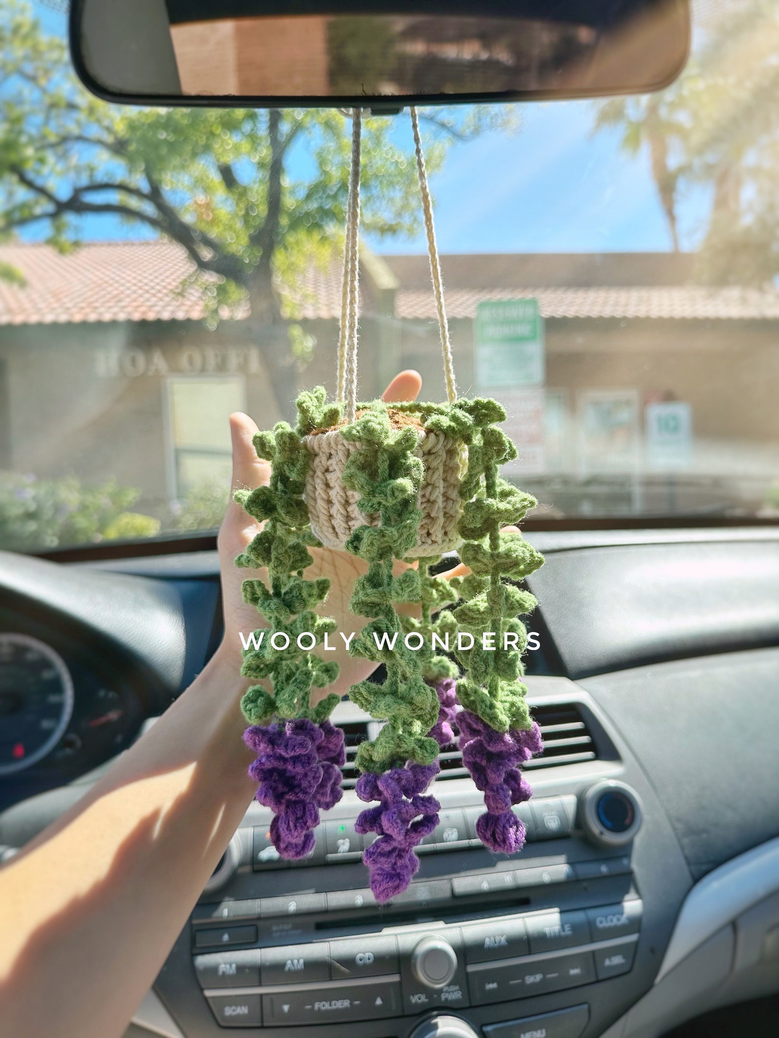 🌸Handcrafted Crochet Hanging Plants🌸