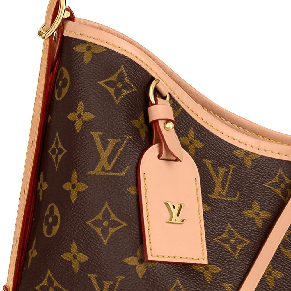 Louis Vuitton CARRYALL Handbag M46197