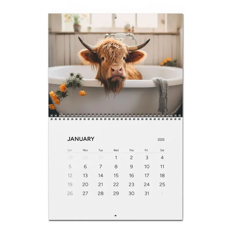 Highland Cow 2025 Wall Calendar