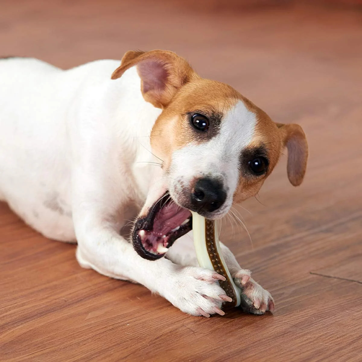 Dog Chew Toys for Aggressive Chewers Large Breed