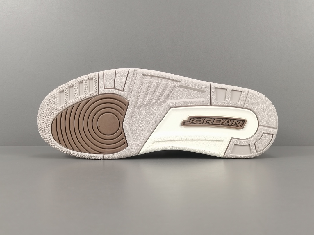 Nike Air Jordan 3 RetroPalamino CT8532-102