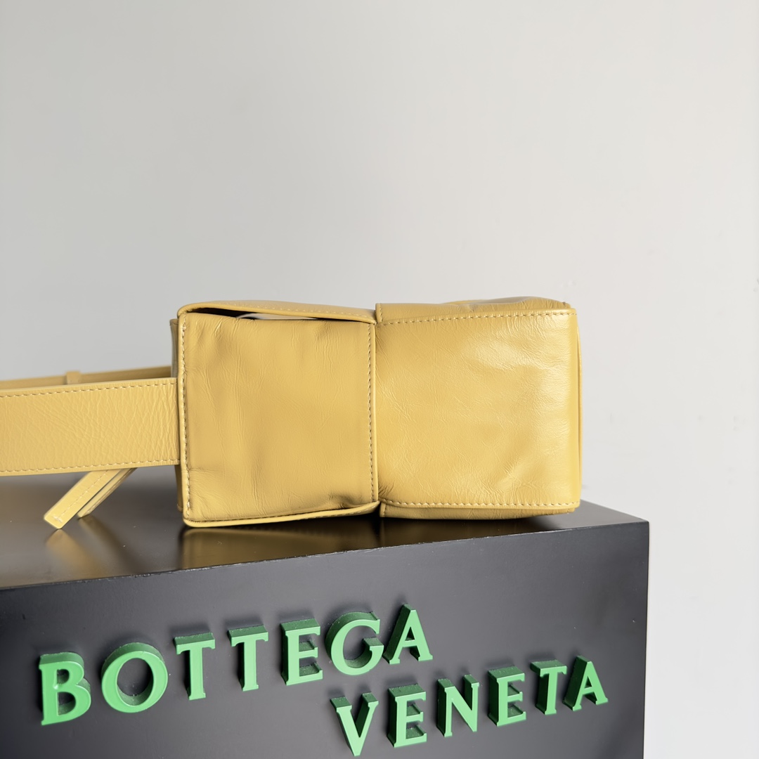 Bottega Veneta 2023 Early Spring Series Arco Camera Bag 731165