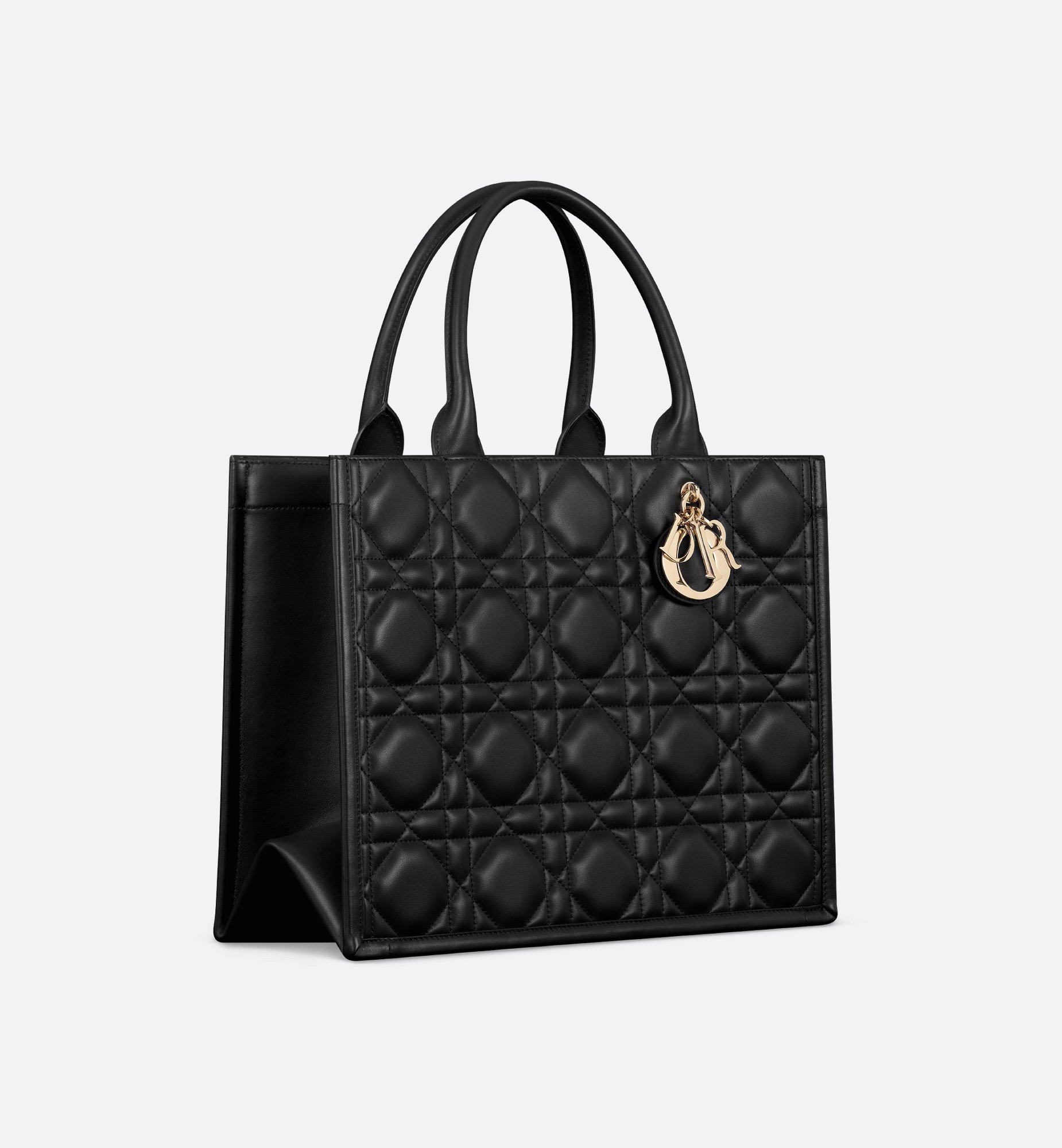 Dior Medium Book Tote Bag M1324OWHP_M900