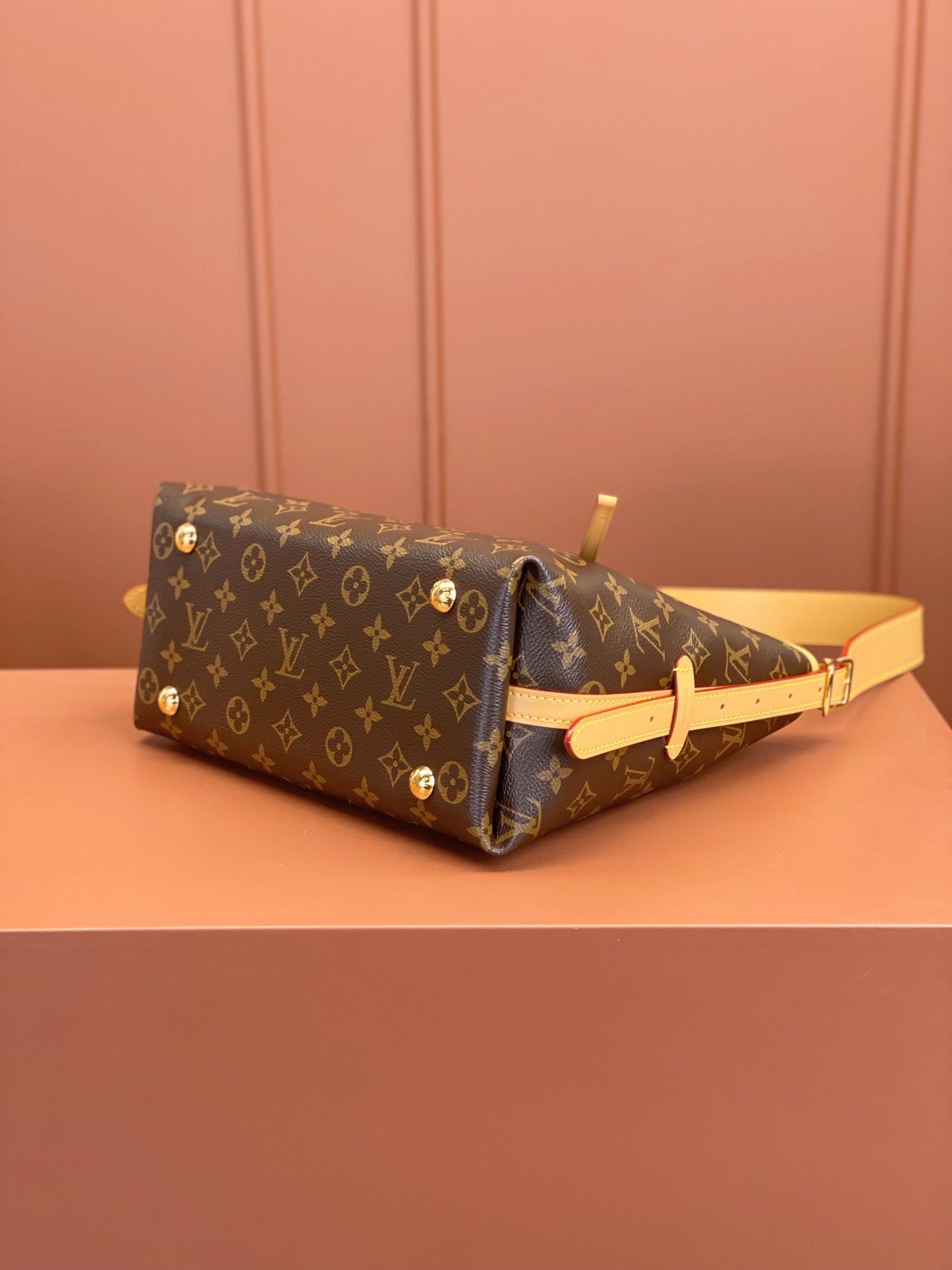 Louis Vuitton CARRYALL Small Handbag M46203