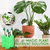 🌱 (HOT SALE-ONLY $9.99)🍀Magic Hydroponic liquid fertilizer