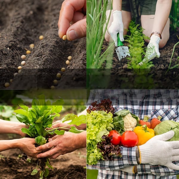 Easter Special🪴-Vegetable Seed Vault Kit | 35 Variety Pack