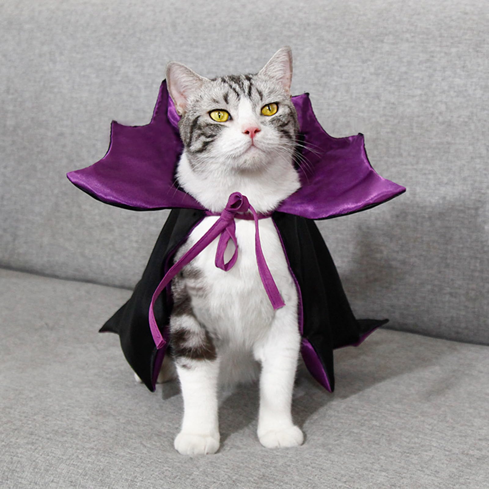 🦇Vampire Cloak Halloween Pet Cosplay🐾