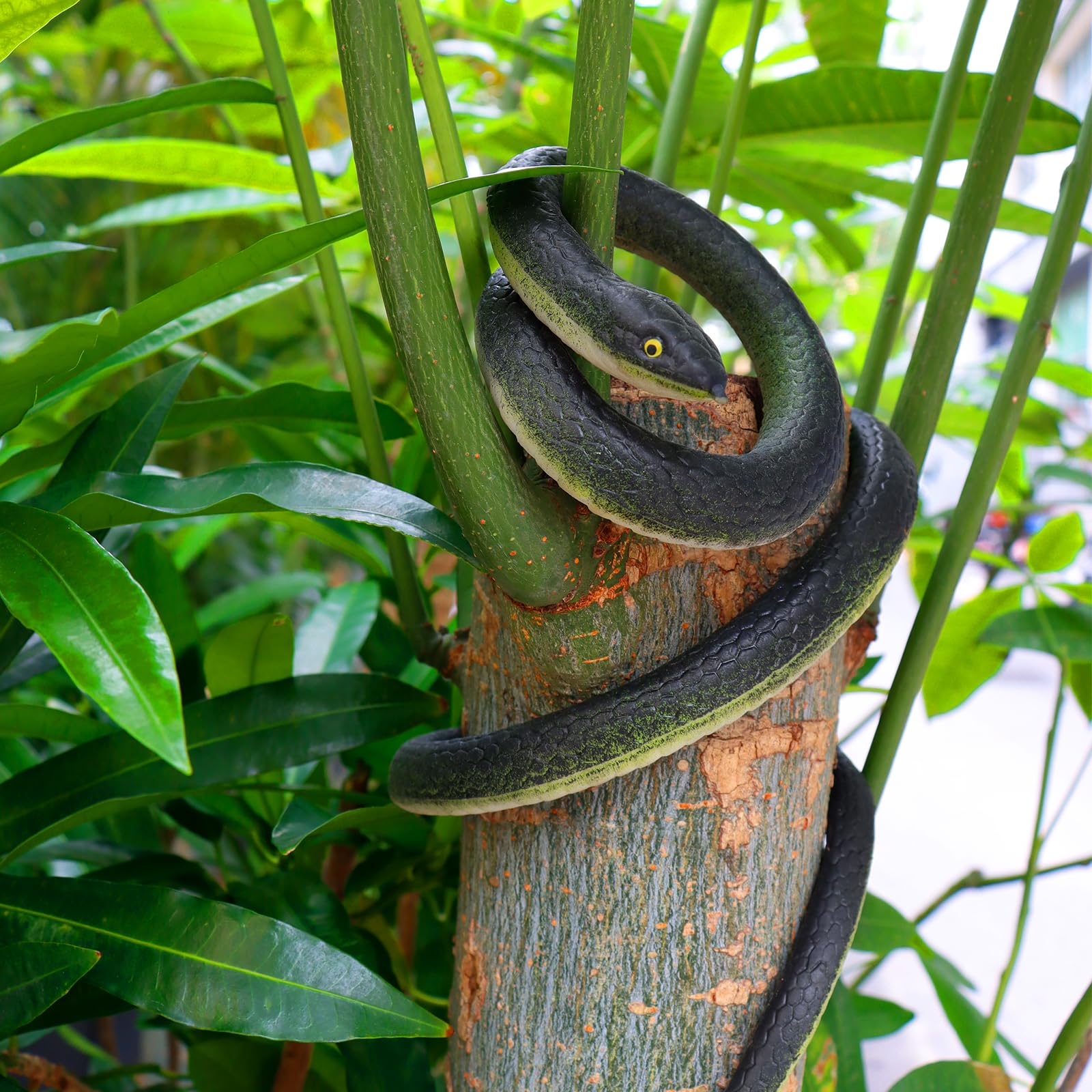 😈Snake Prank with String Clip🐍