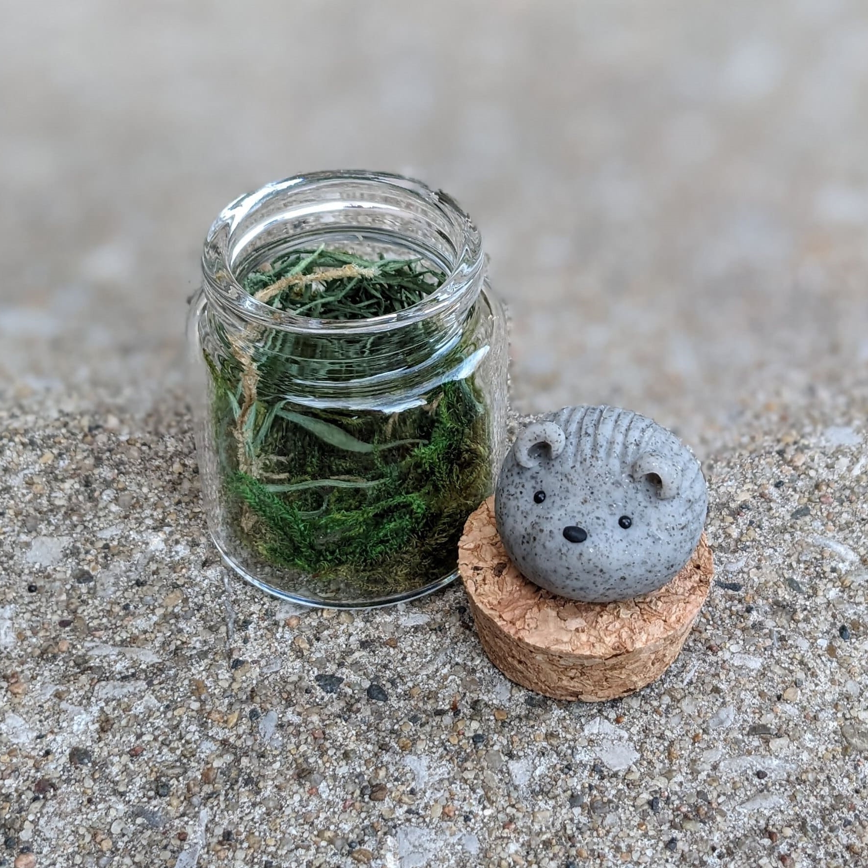 On Sale🔥Adopt A Rock Pet