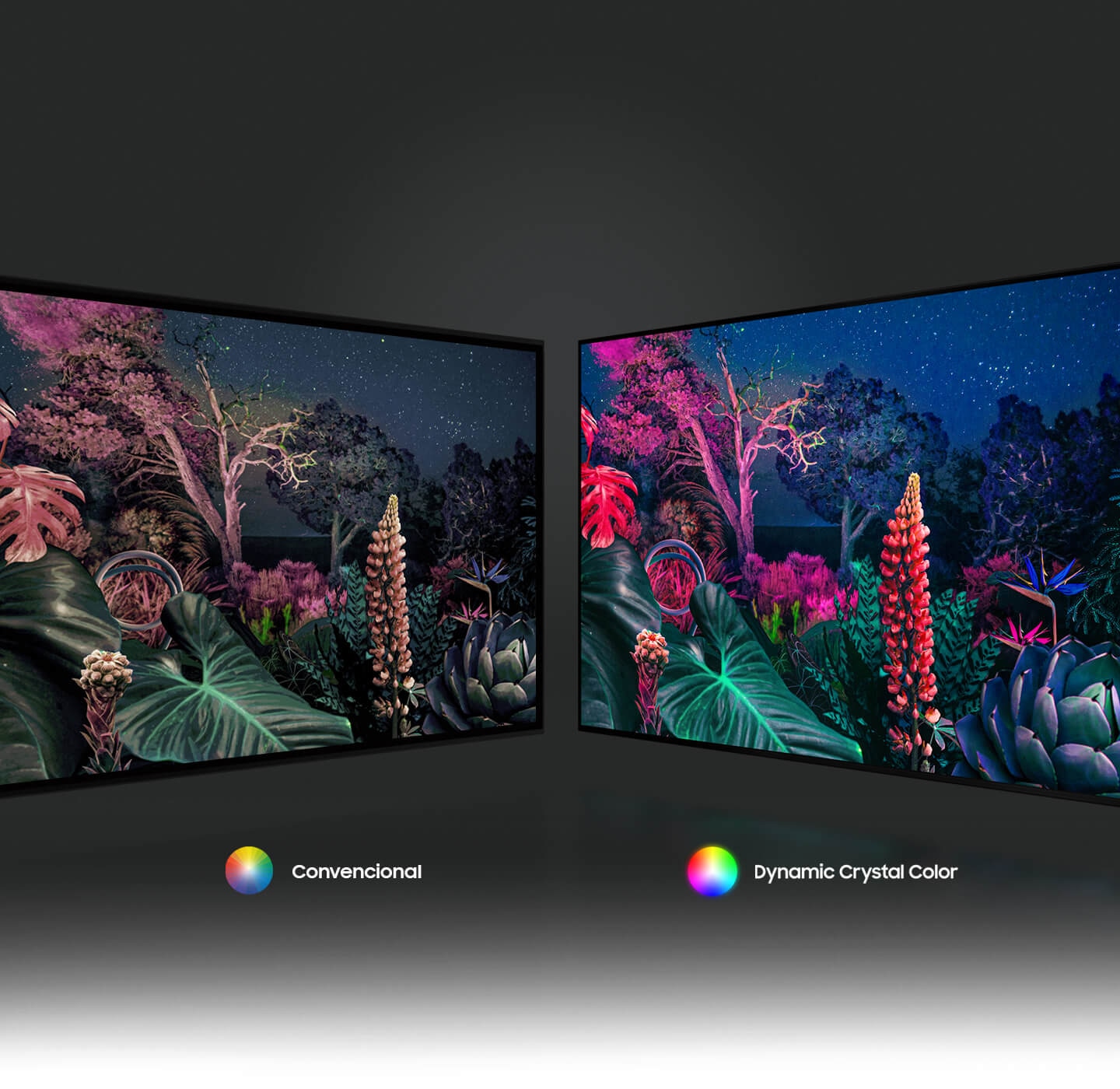 🔥Q80T QLED 4K Smart TV with Magic Remote 🔥