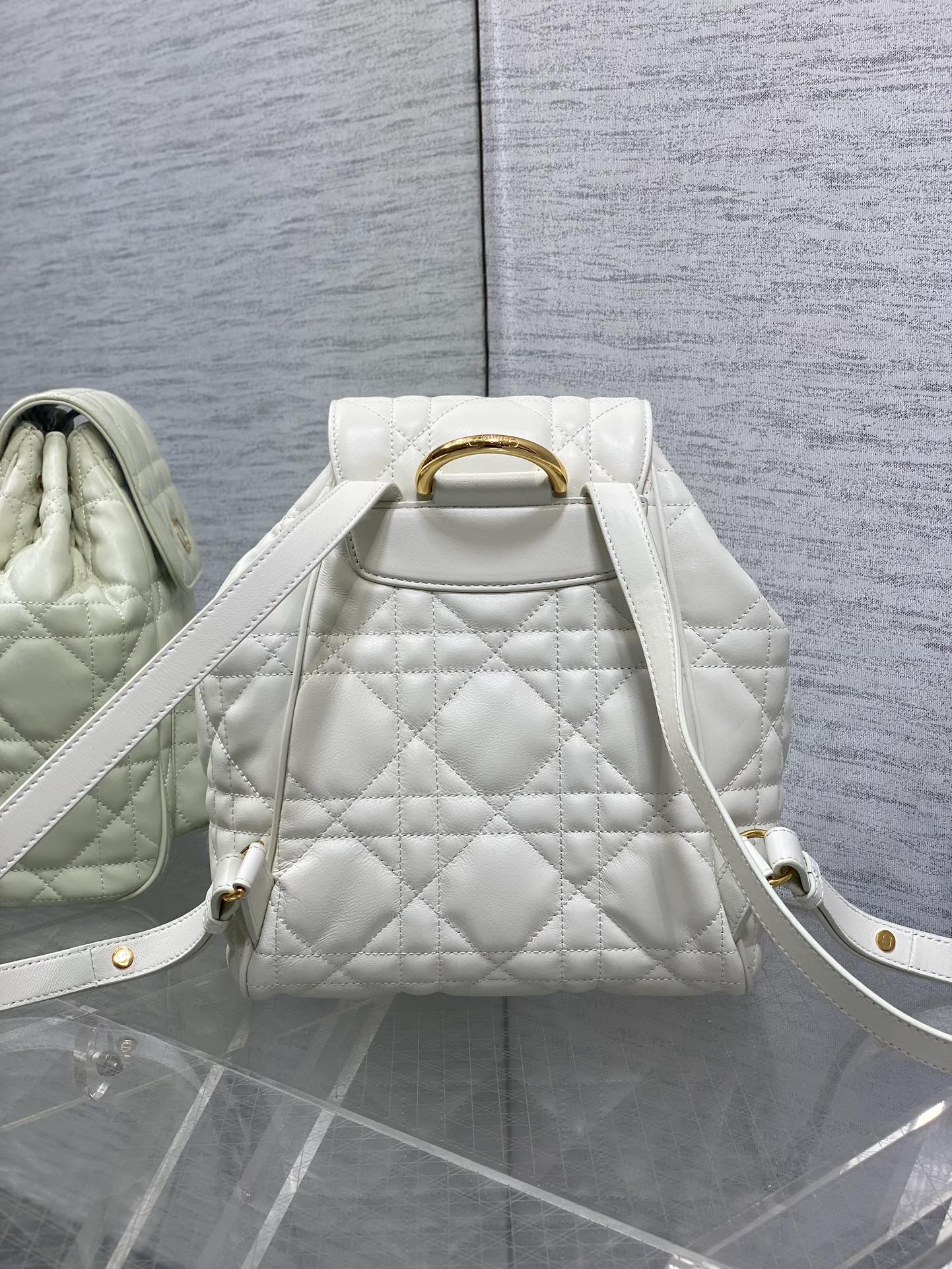 Dior Caro Fall/Winter Backpack