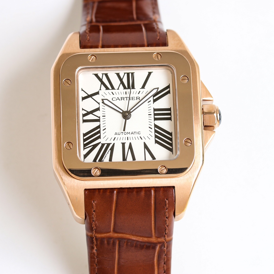 CARTIER Santos Series