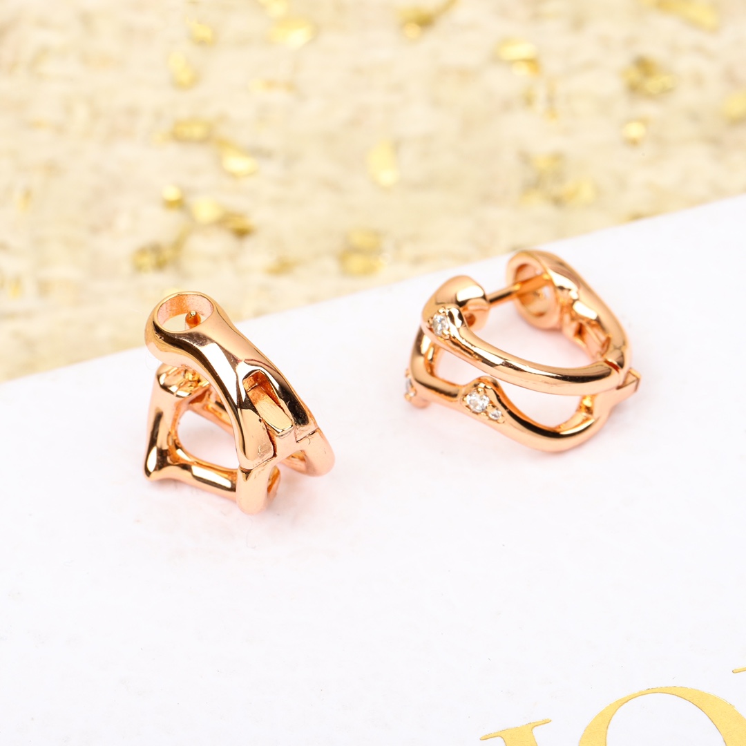 Dior diamond vine earrings