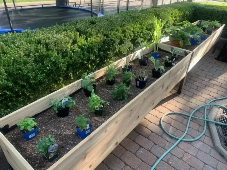 🌷2025B Clearance Sale 🔥8' X 2' x 4' Self-Watering Eco-Stained Elevated Planter Box+ Arch Trellis