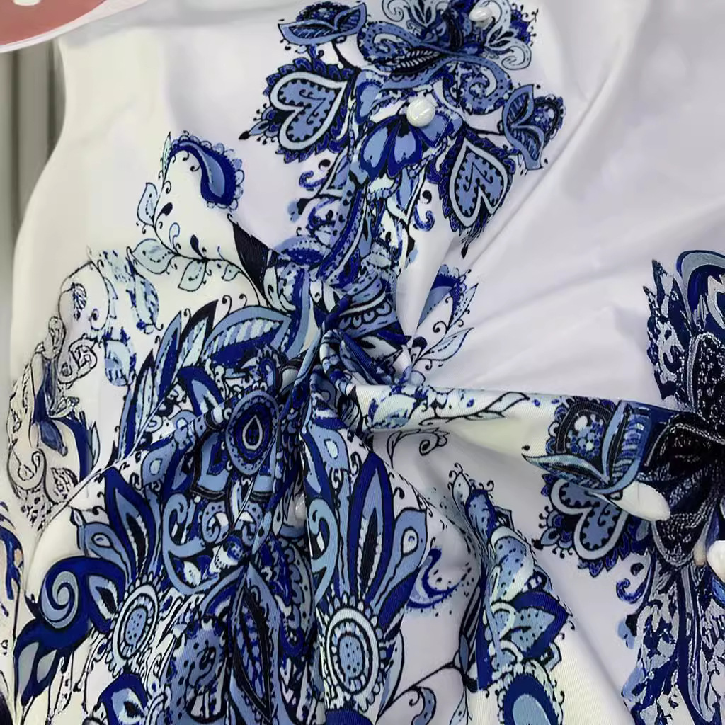 Fall 2024 cross-border ladies fashion V-neck long-sleeved bohemian print dress