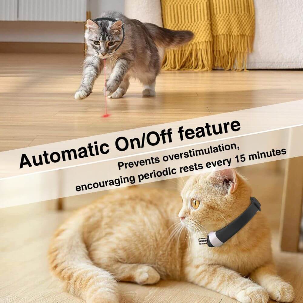 🔥Hot Sale🔥Laser cat collar