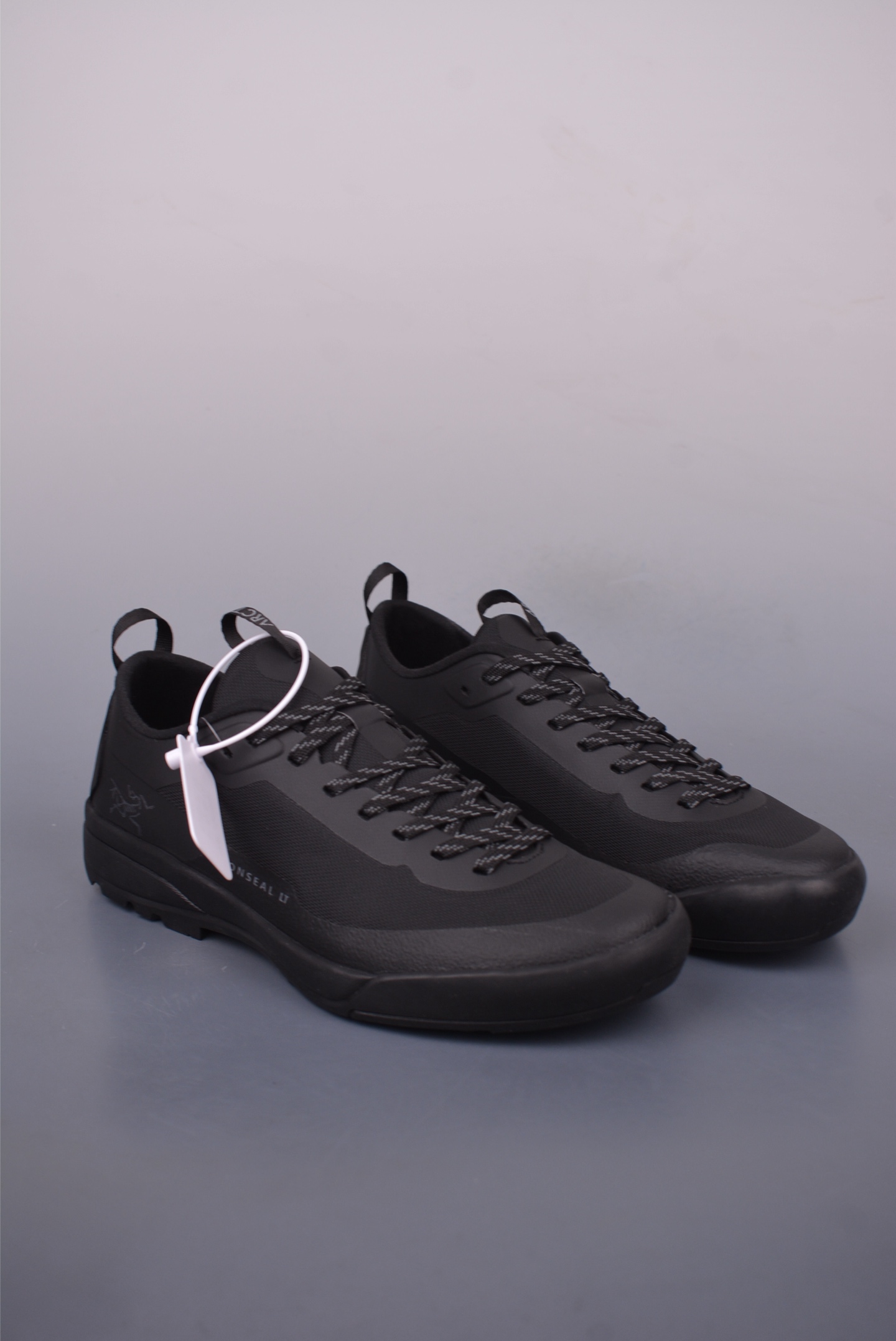 Arc'teryx AERIOS running shoes 0772181526