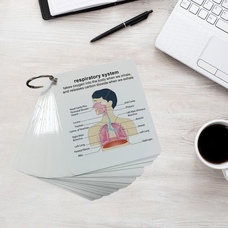 ✨Flash Sale✨Human Body System Anatomy Card,1 Set Medical & Nursing Learning Guide with Rings