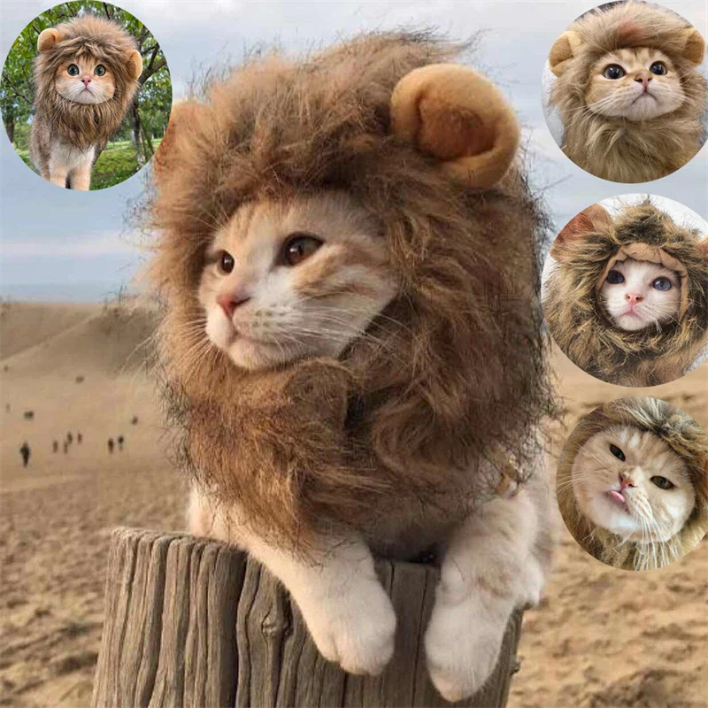 2024  King Cat Costume🔥(Last Day to Sell)