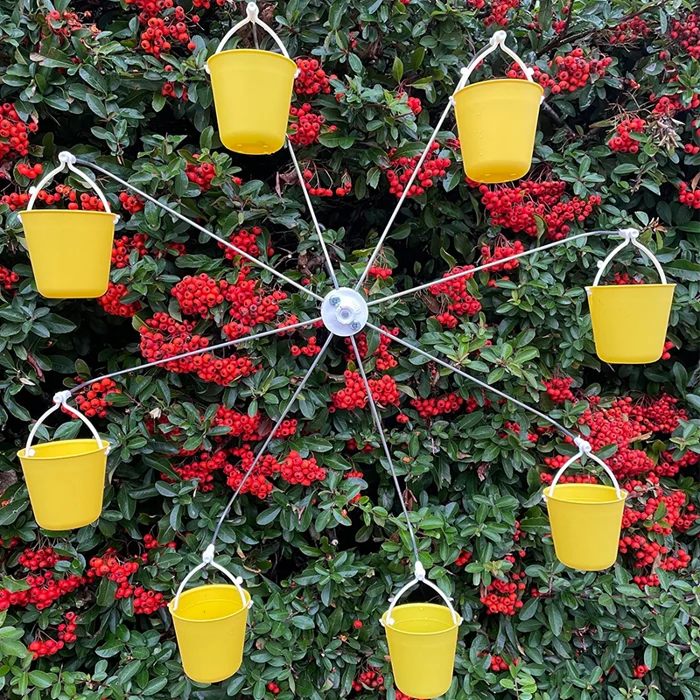 🔥Last Day 50% OFF🔥Ferris Wheel Bird Feeder-BUY 2 GET 10% OFF & FREE SHIPPING