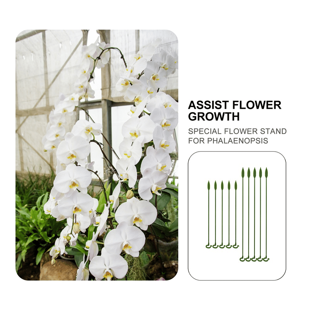 (🔥3rd Anniversary Sale) Plant Support Stake - Buy 3 Sets Get 2 Sets Free