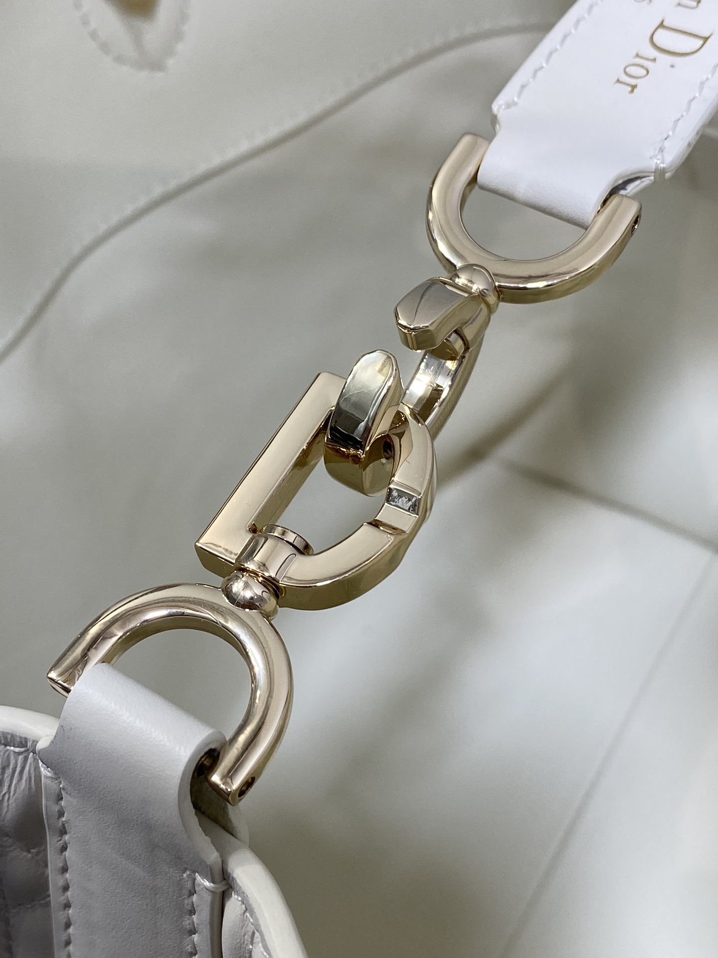 Dior Toujours Vertical Series Mediumv