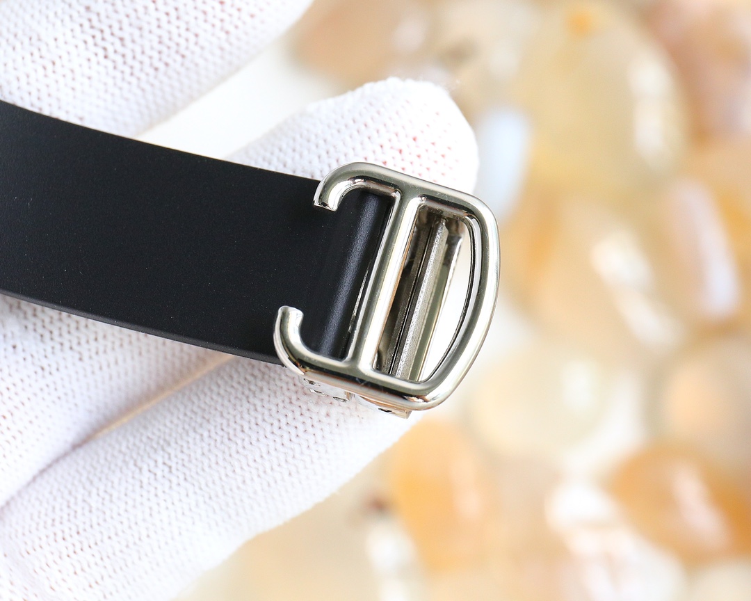 Cartier Santos Starry Sky Watch