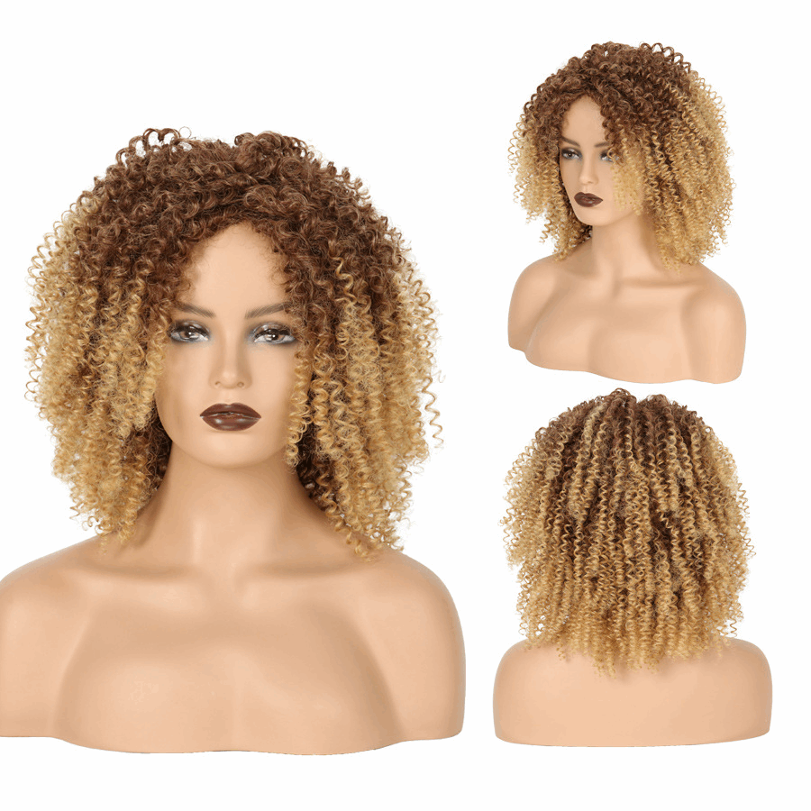 Luna 018 Short Kinkly Curly Synthetic Wigs for Women