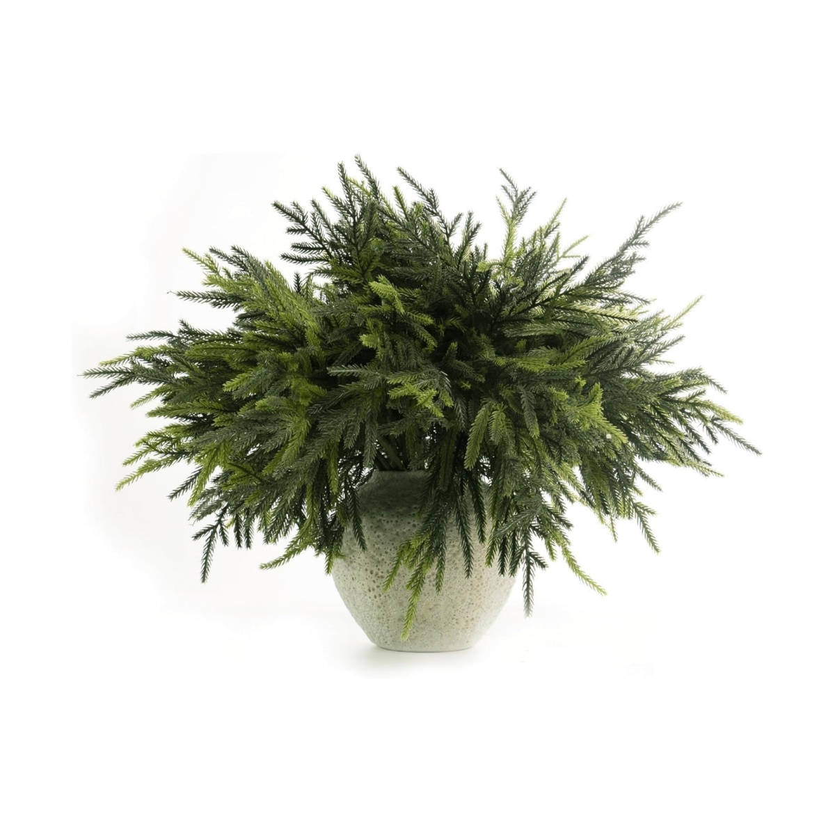 🎄Early Christmas Sale🎄Christmas Norfolk Pine Branches with Lights Set