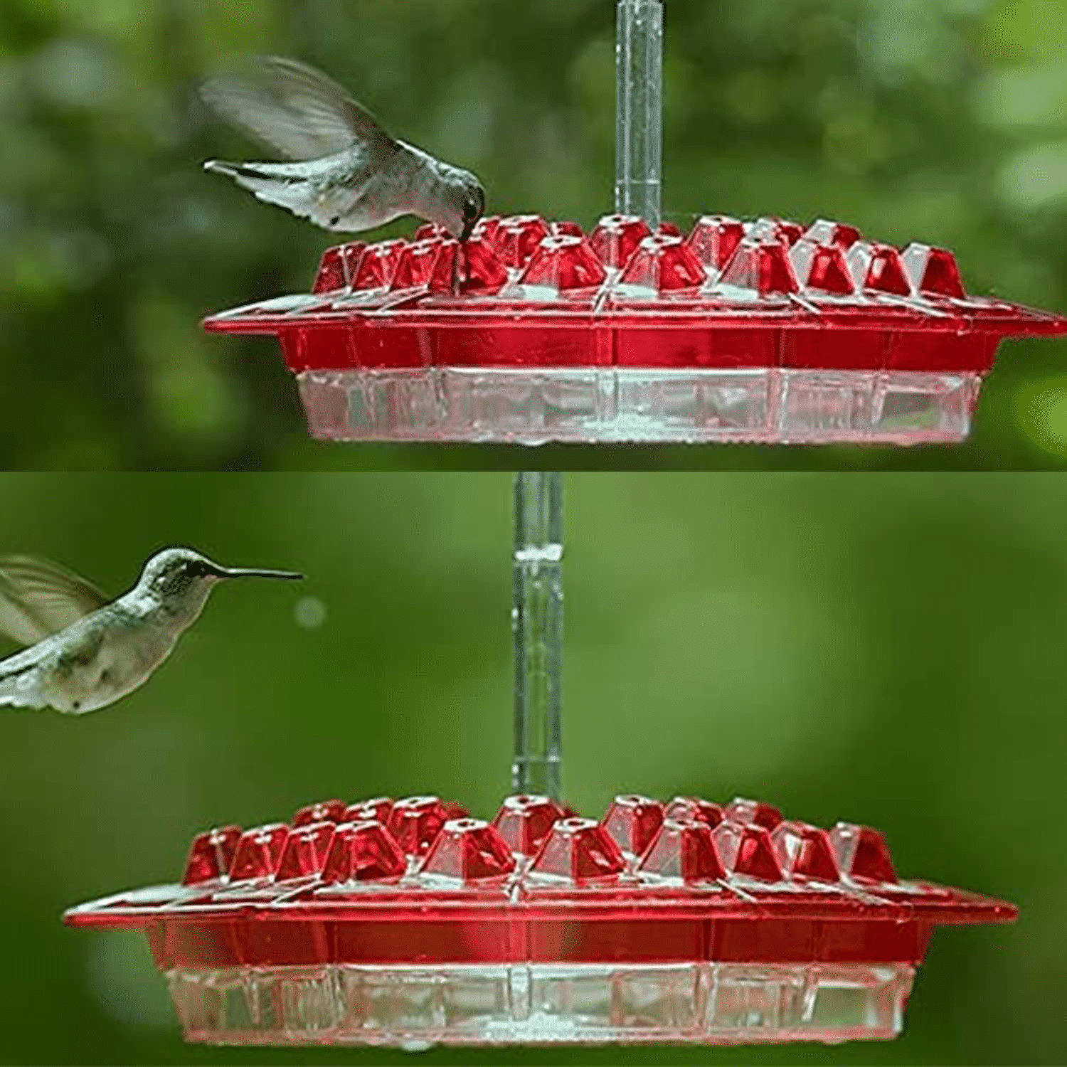 🎉 Promotion-49% OFF 🎉 Sweety Hummingbird Feeder
