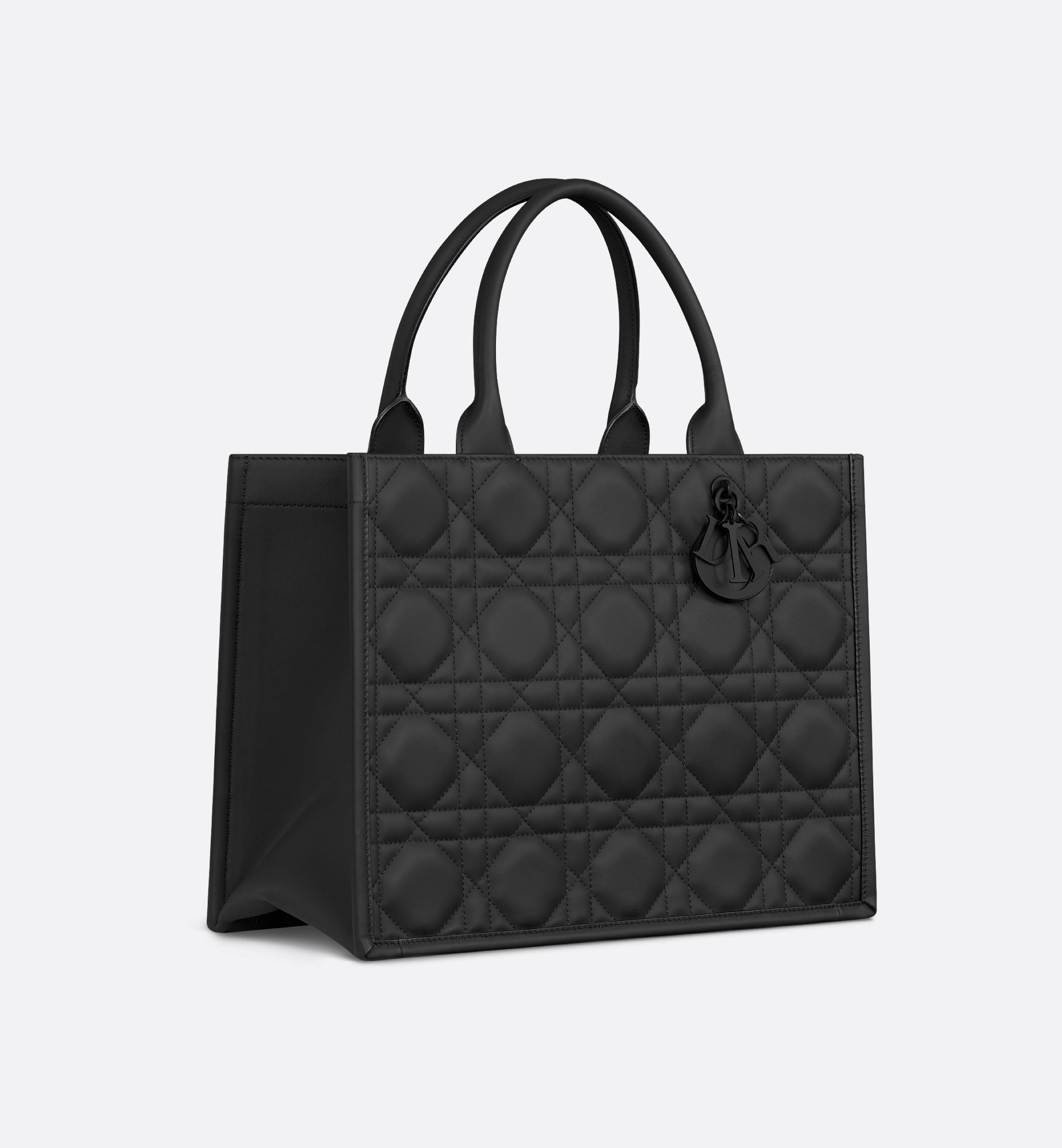 Dior Medium Book Tote Bag M1324SLOI_M900