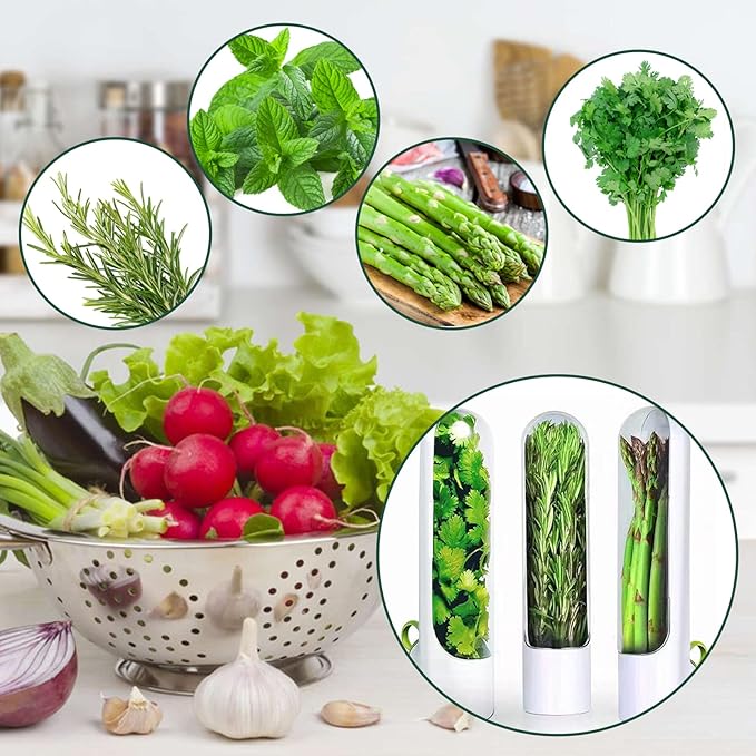 🥬🥬Fresh Vegetable Storage Box