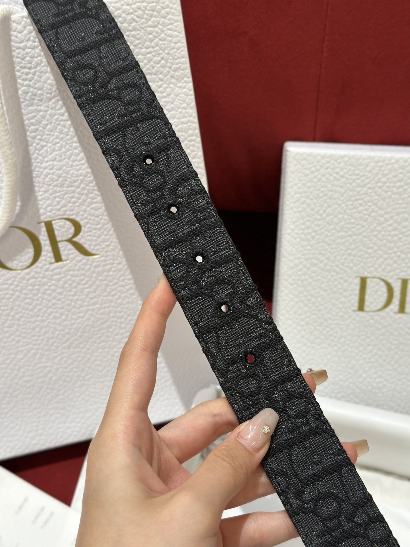 Dior CD Buckle Canvas Leather Belt 3.5CM Width