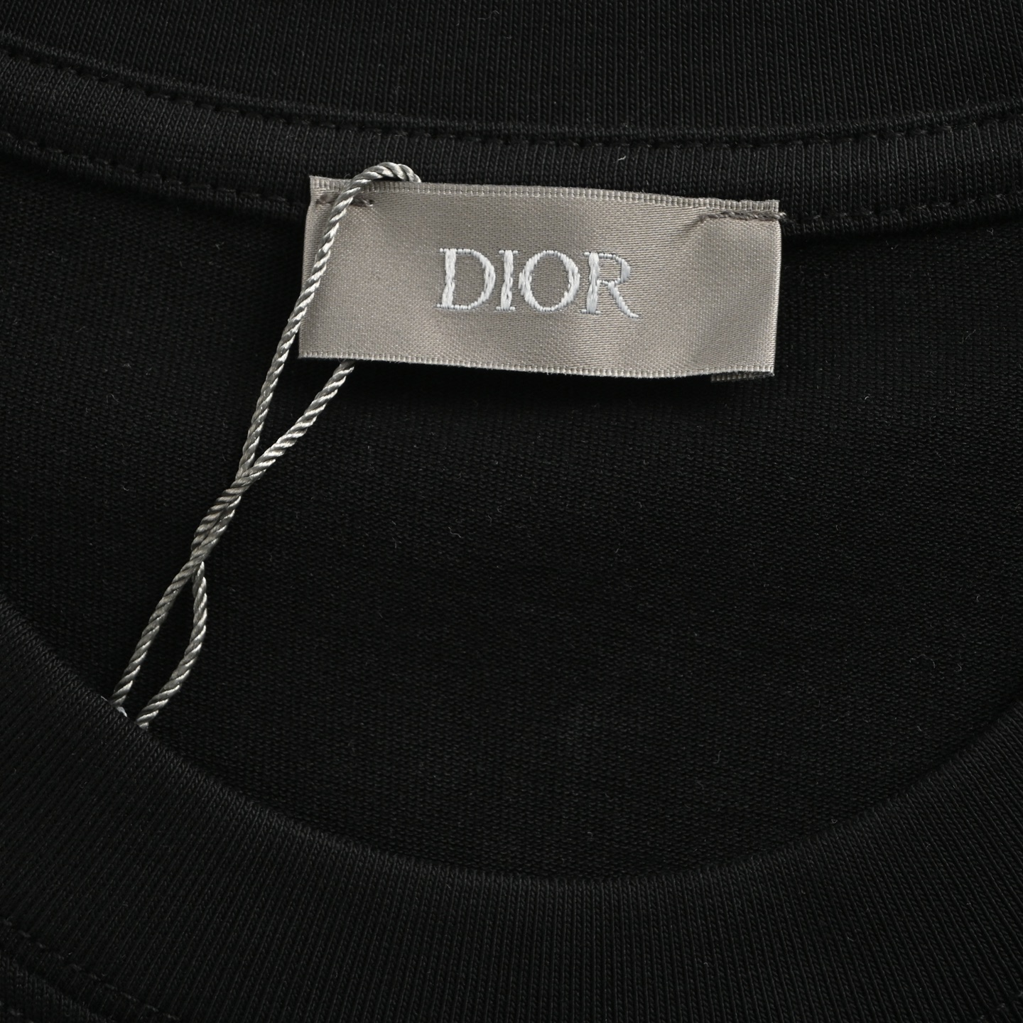 Dior 25ss blue flocked letter embroidered short sleeve