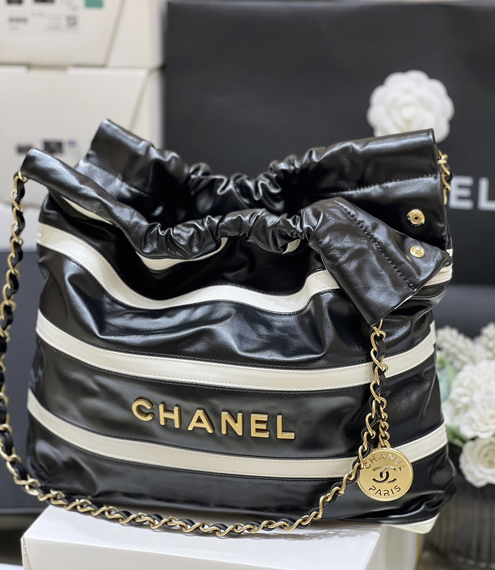 Chanel 24S Spring/Summer Collection Limited Edition Colorblock Handbag AS3260