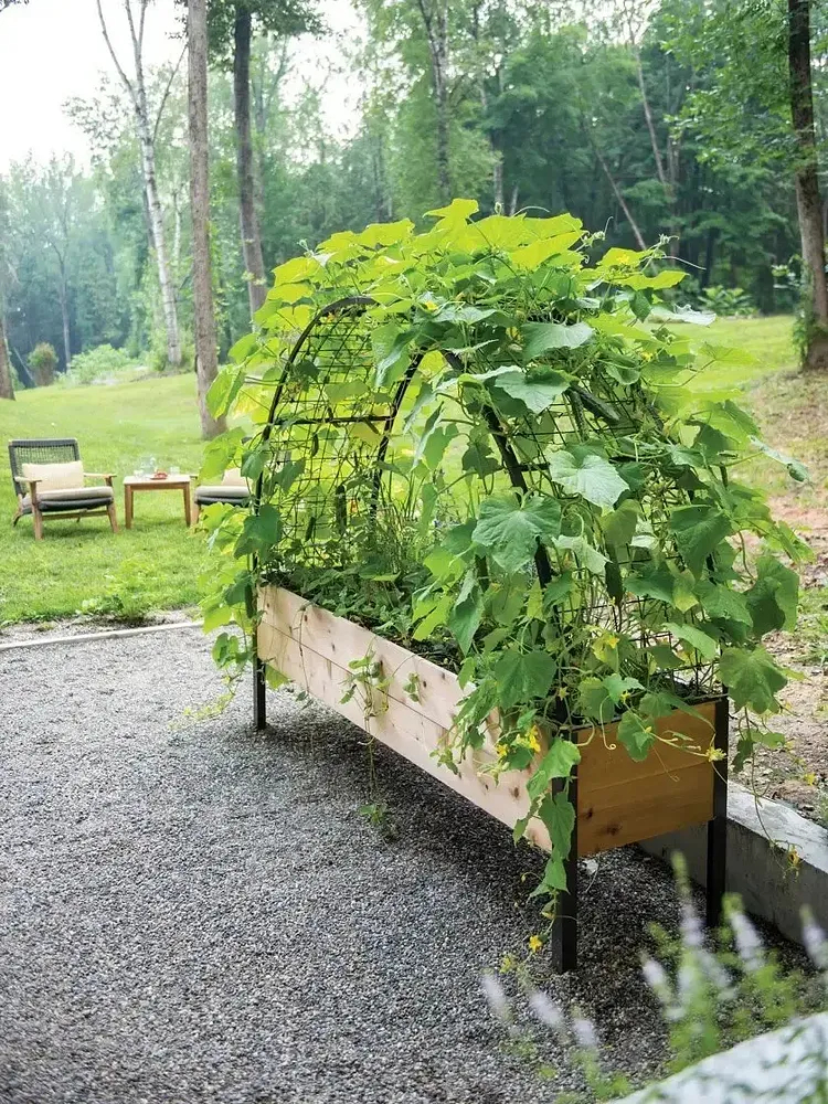 🌷2025B Clearance Sale 🔥8' X 2' x 4' Self-Watering Eco-Stained Elevated Planter Box+ Arch Trellis